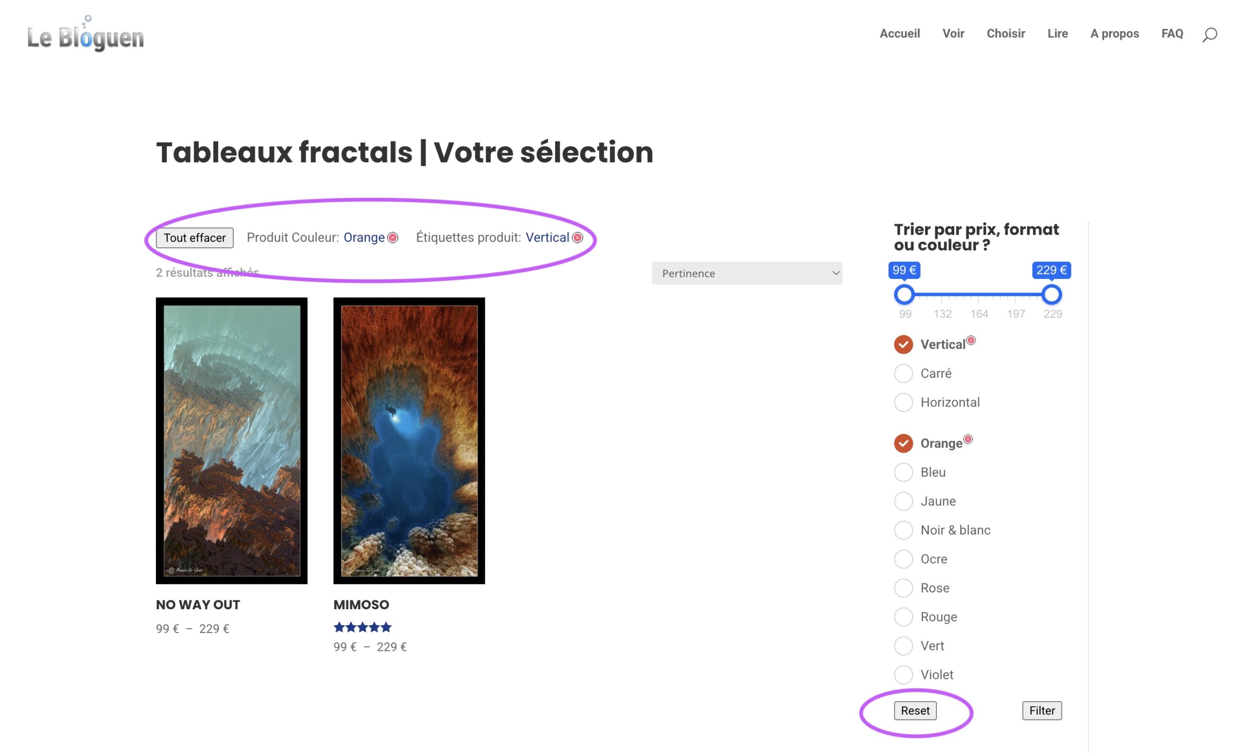 Wordpress Woocommerce, filtrage de produits. Le BloGuen