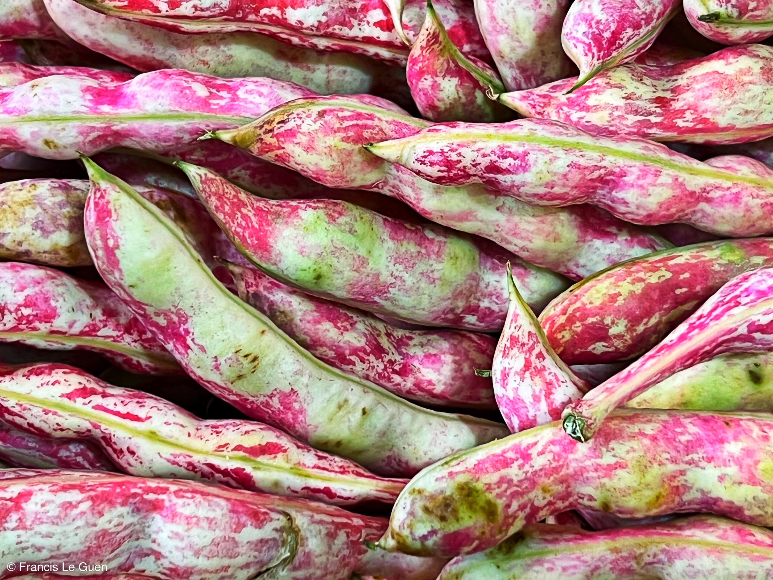 Les vergers de Mazargues - Marseille - Marseille - Marseille, urban, bouillabaisse