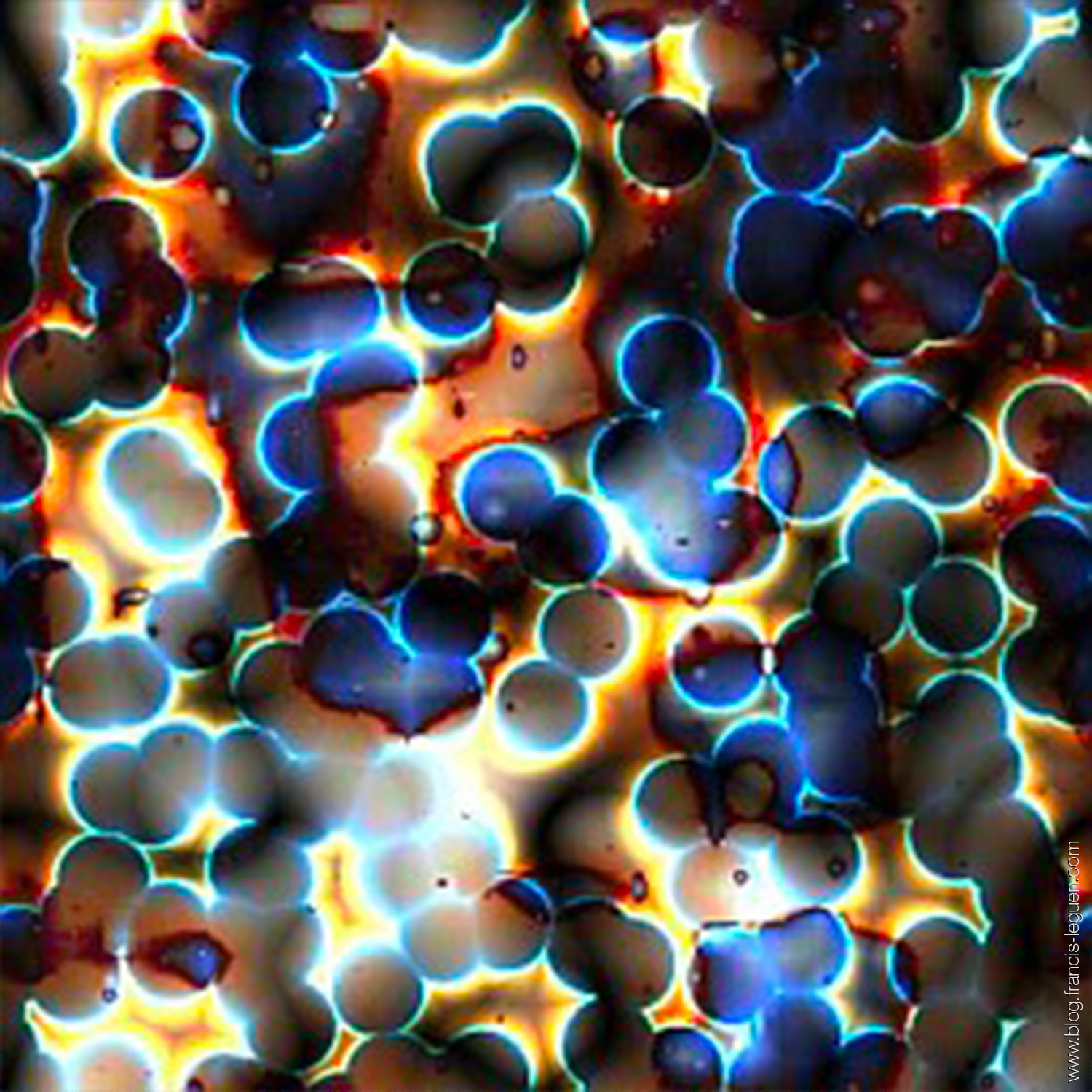 Tableaux fractals : Comment j'ai imaginé Abalone ? - Boutique fractale - art mural, tableau, coloré