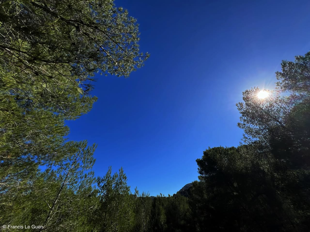 Choses vues. Novembre 2025 - Choses vues - surprise, beauté, réalité