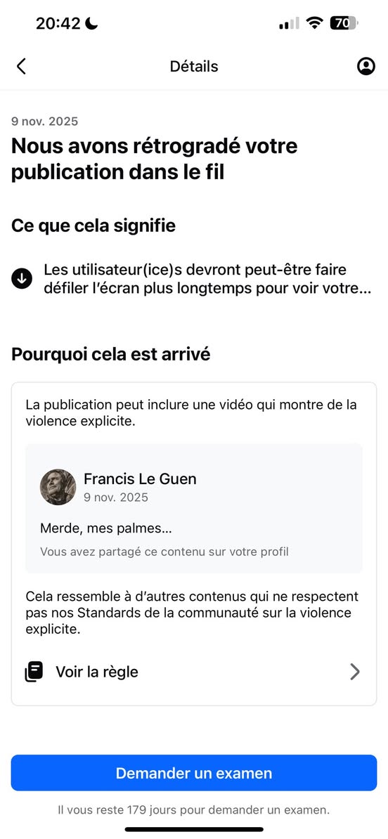 Choses vues. Novembre 2025 - Choses vues - surprise, beauté, réalité