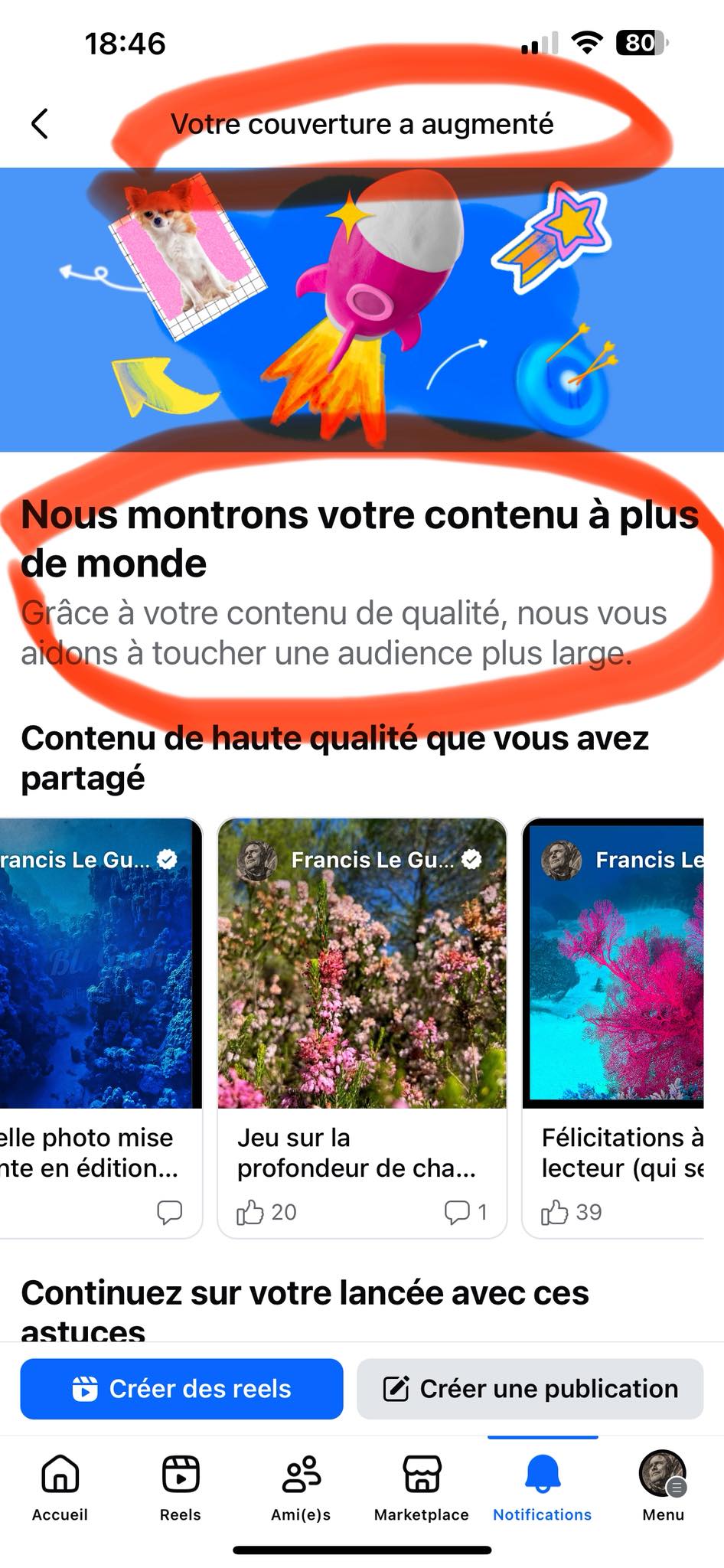 Choses vues. Novembre 2025 - Choses vues - surprise, beauté, réalité