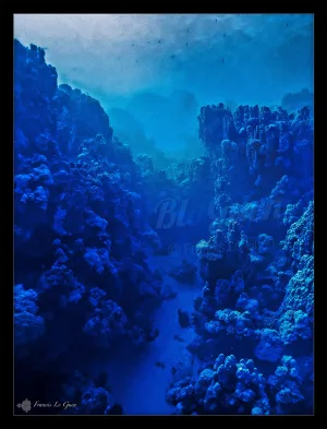 Port Ghalib – Port Ghalib en Égypte. Plongée dans les canyons de corail bleu...