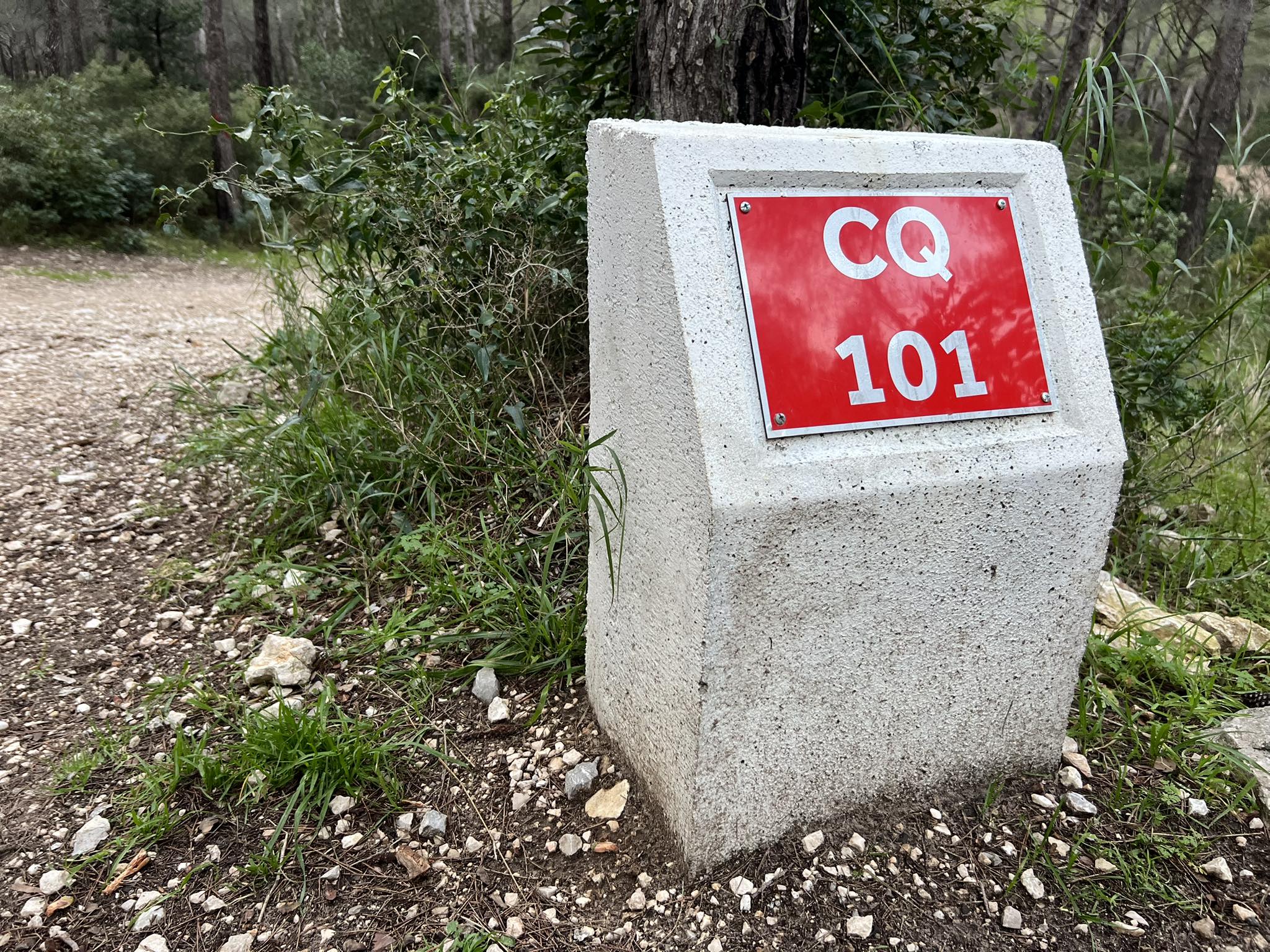 Choses vues. Décembre 2025 - Choses vues - surprise, moment, éphémère