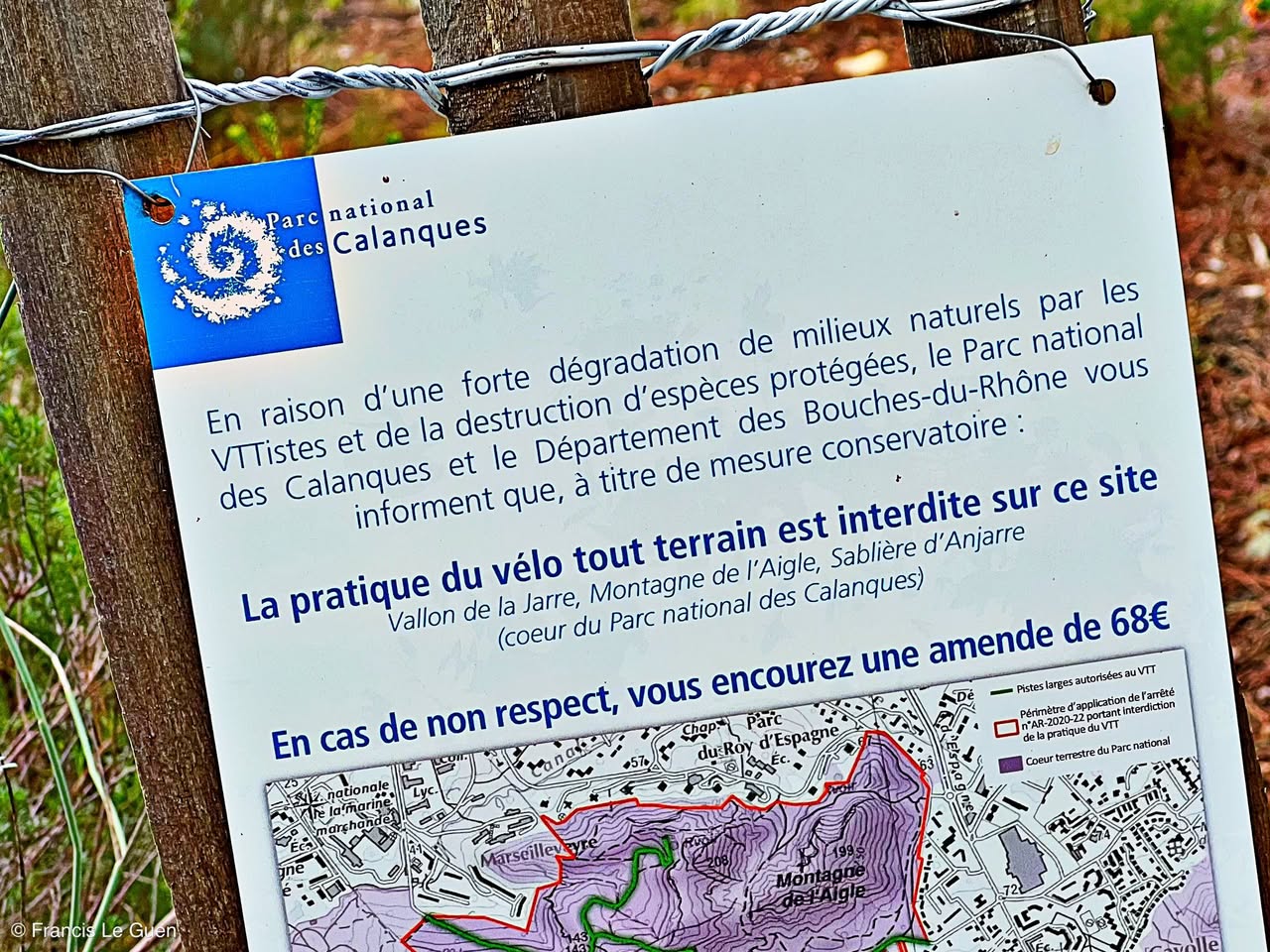 Choses vues. Décembre 2025 - Choses vues - surprise, moment, éphémère
