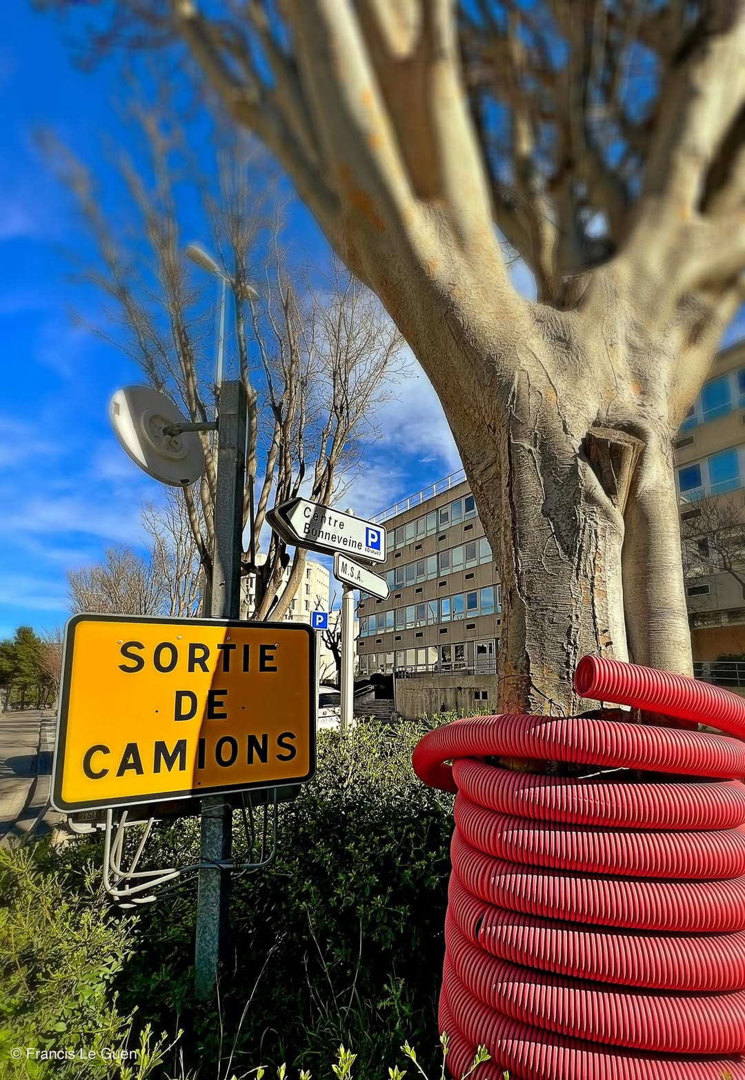 Choses vues - Mars 2023 - Choses vues - hasard, découverte, regard