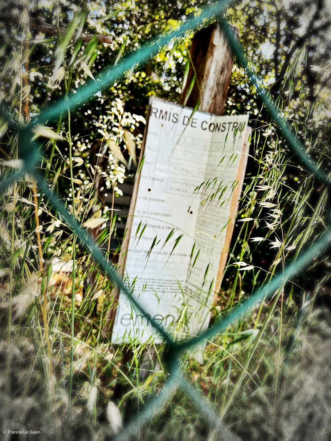 Choses vues - Mai 2023 - Choses vues - observation, regard, moment