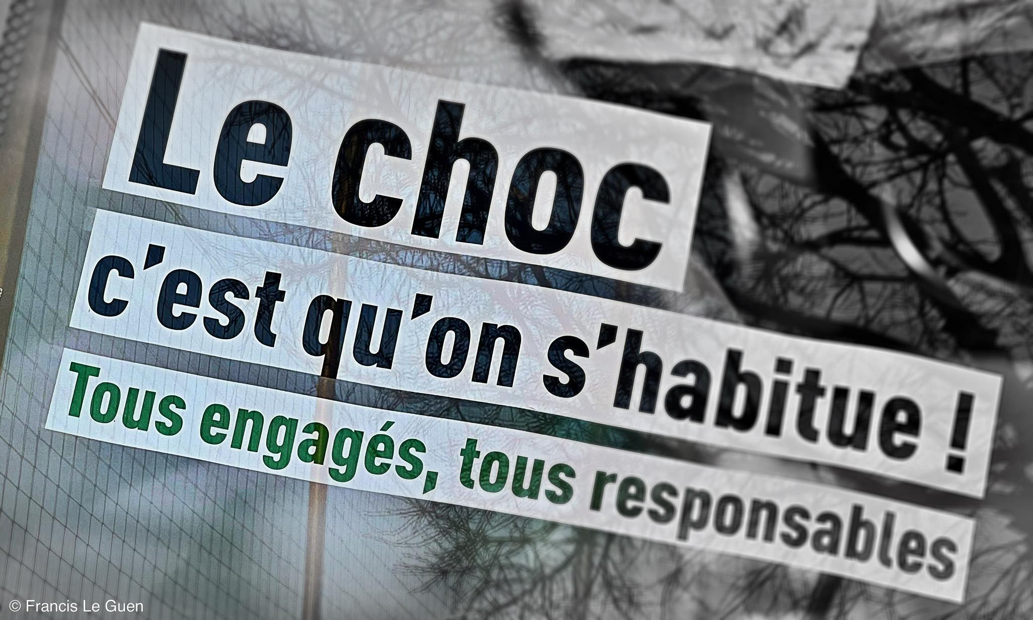 Choses vues. Février 2026 - détail, observation, regard