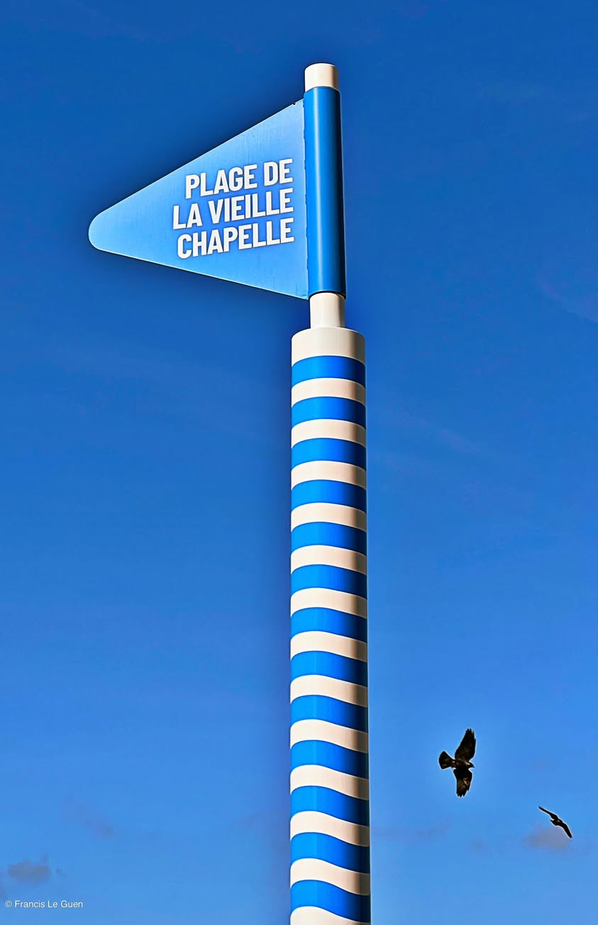 Choses vues. Février 2026 - détail, observation, regard