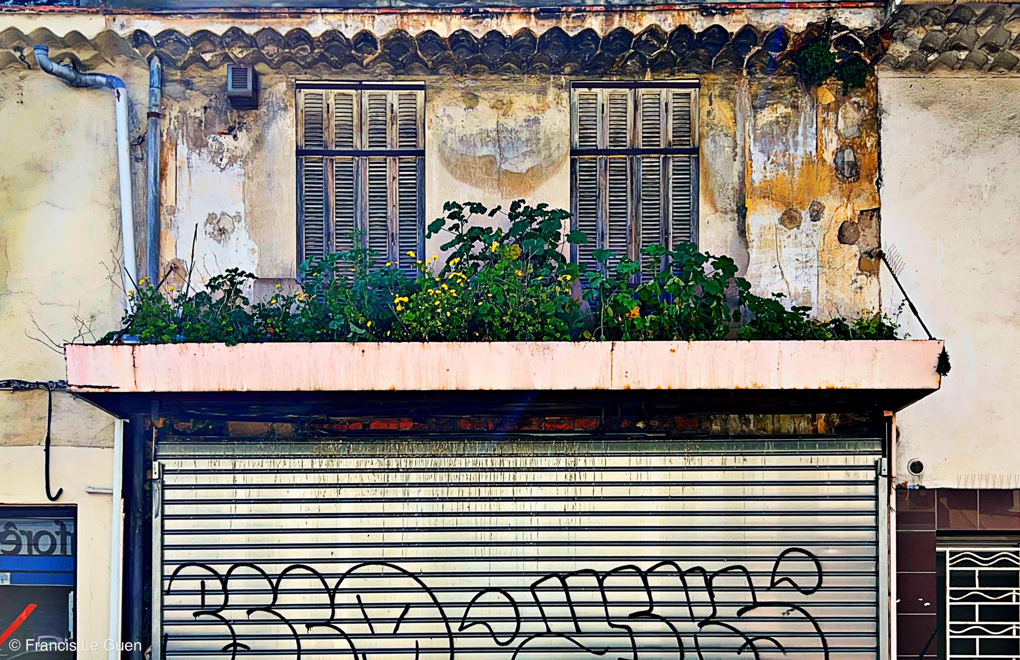 Choses vues. Février 2026 - détail, observation, regard