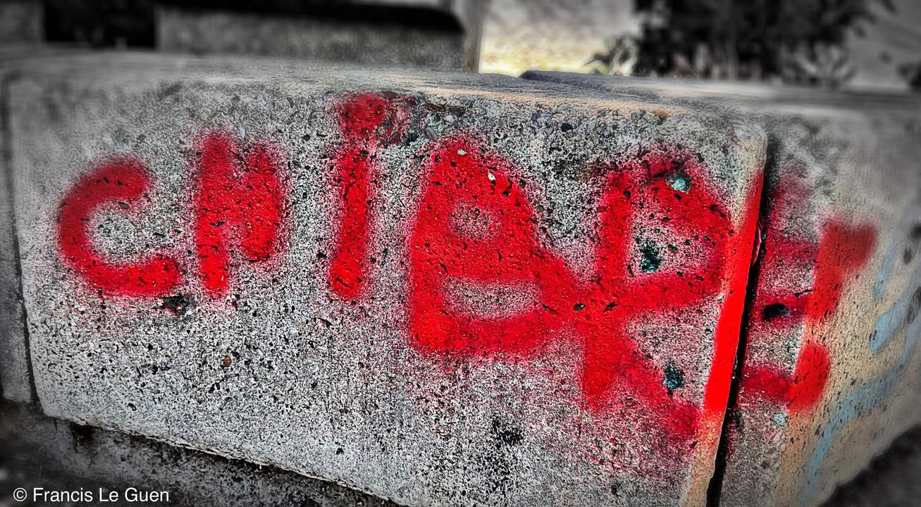 Choses vues. Septembre 2022 - Choses vues - surprise, réalité, éphémère
