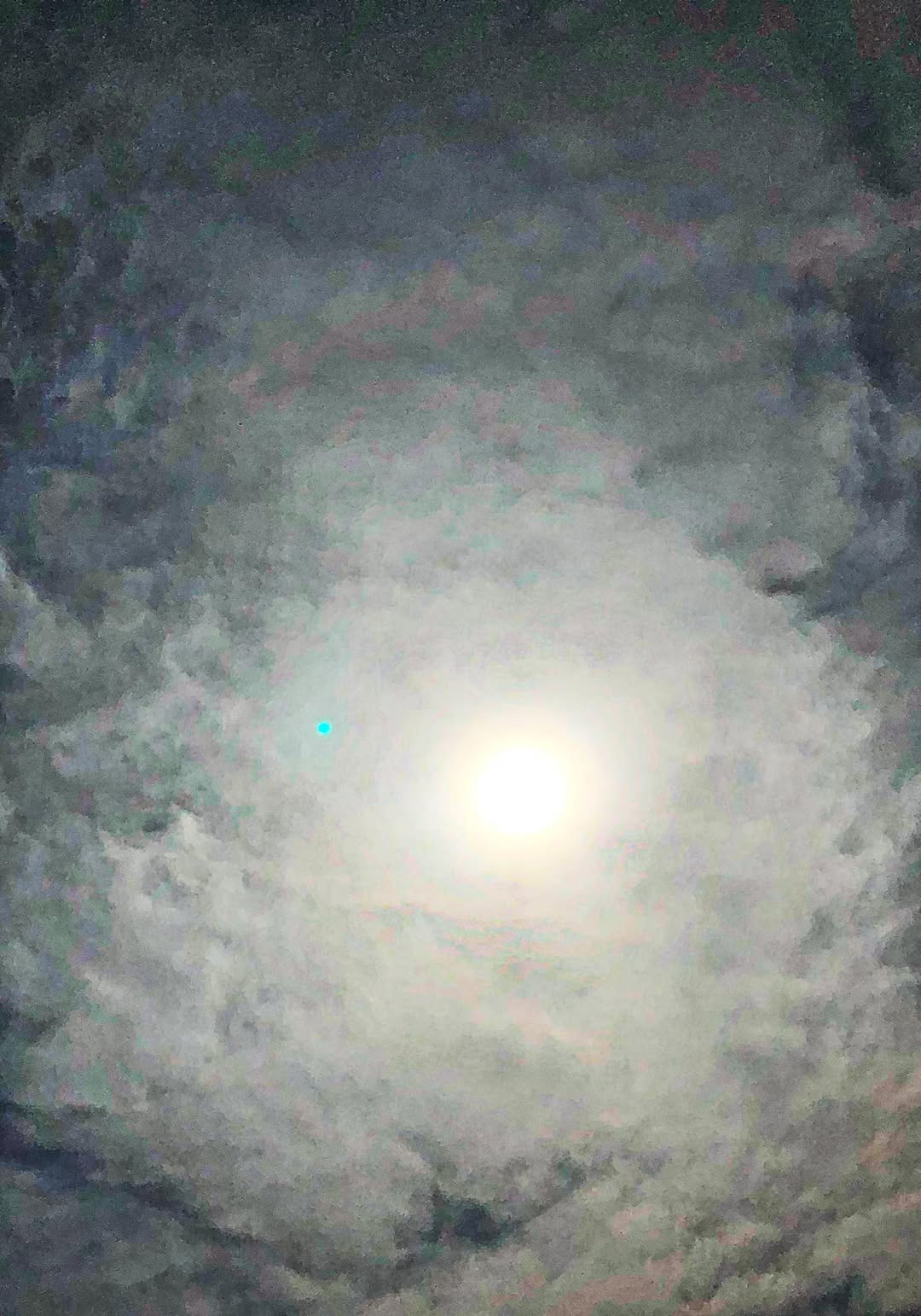 Choses vues. Mars 2022 - Choses vues - observation, hasard, surprise
