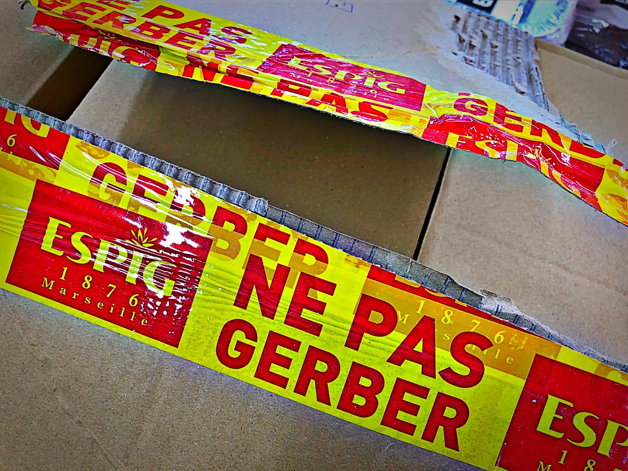 Choses vues. Avril 2022 - Choses vues - instant, surprise, beauté