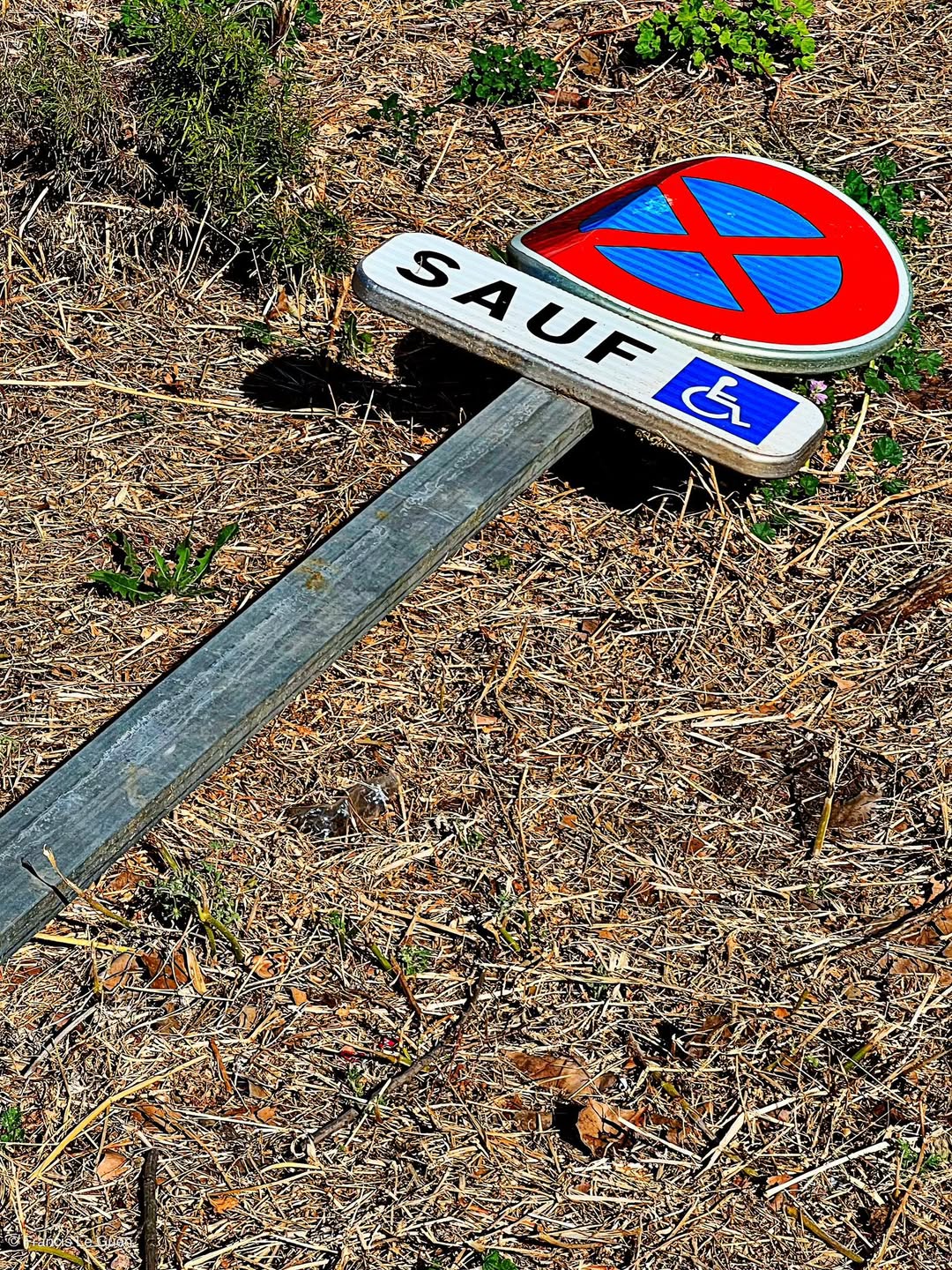 Choses vues. Juin 2026 - quotidien, éphémère, hasard