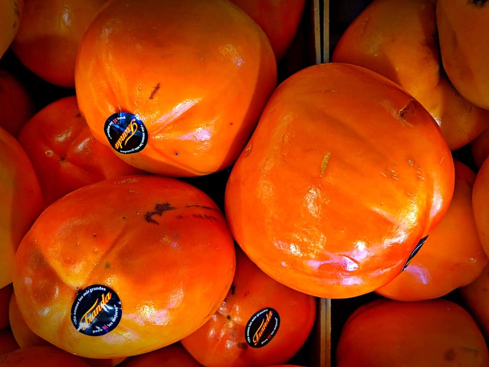 Choses vues. Décembre 2021 - Choses vues - observation, beauté, moment