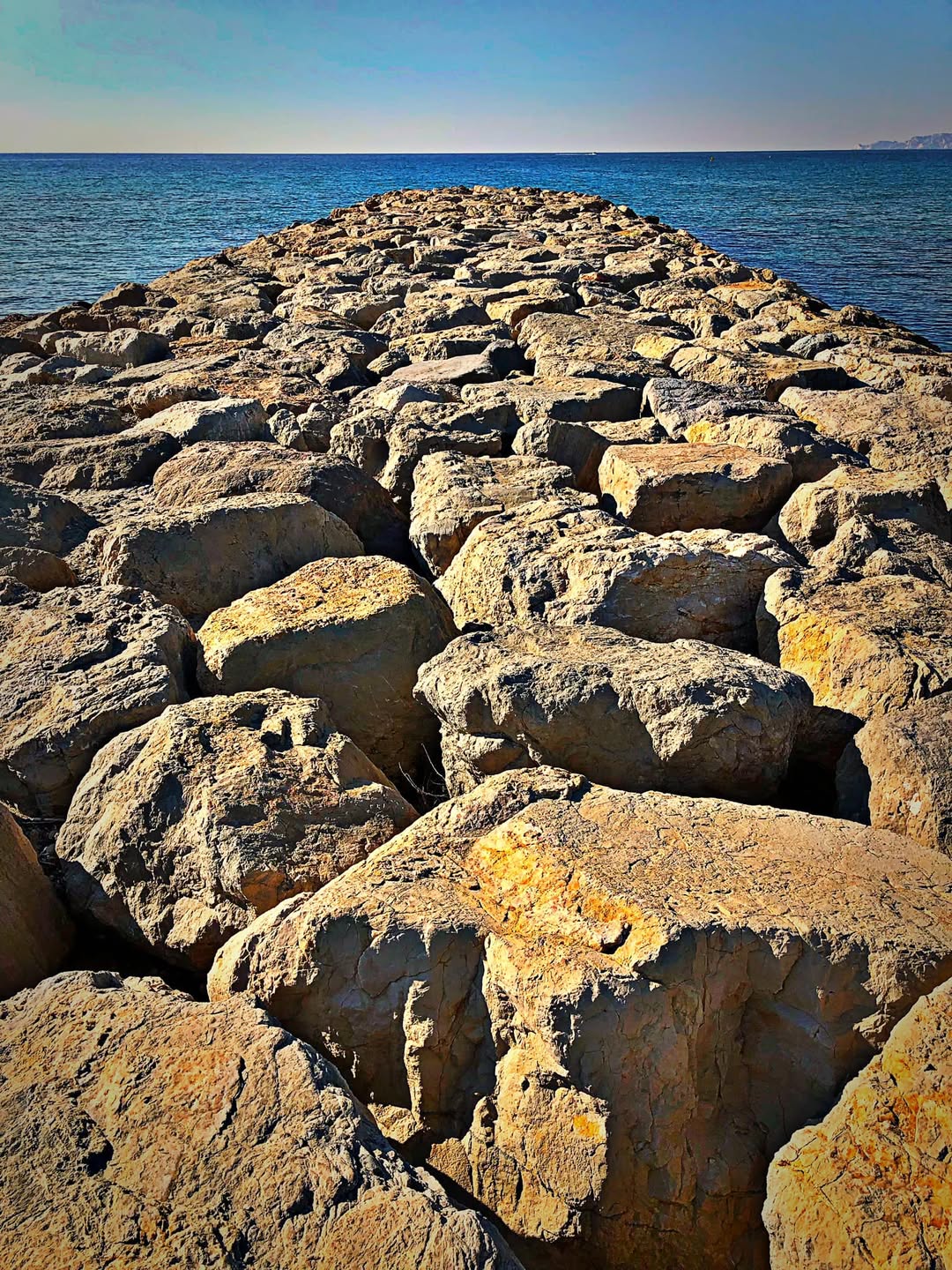 Choses vues. Janvier 2022 - Choses vues - hasard, banalité, éphémère