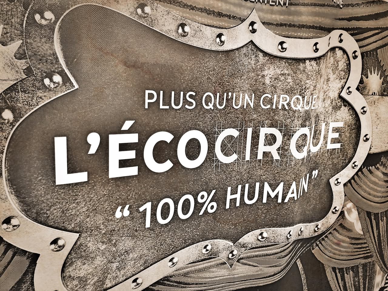 Choses vues. Janvier 2022 - Choses vues - hasard, banalité, éphémère