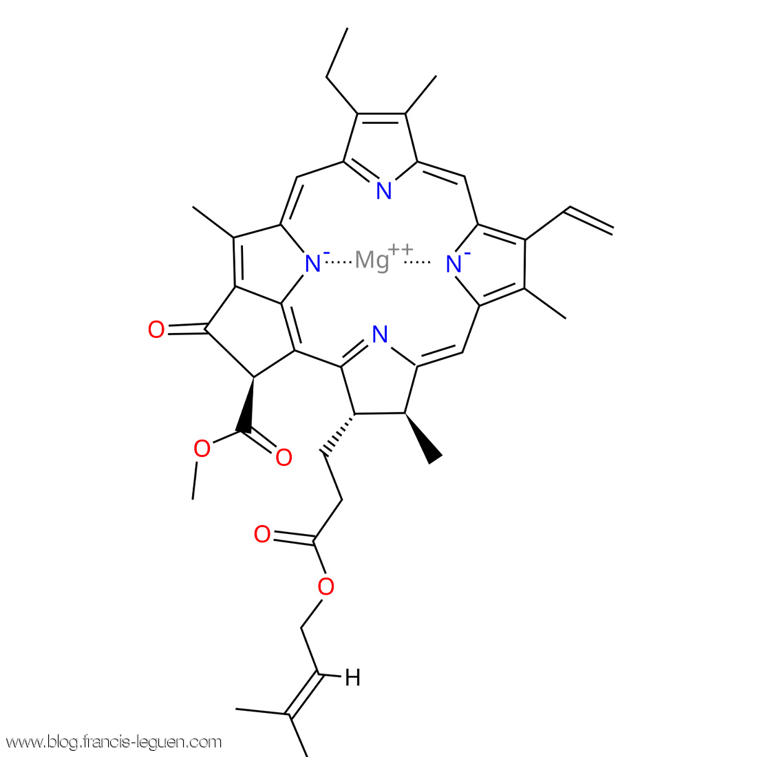 Alchimie du vivant Chlorophylle