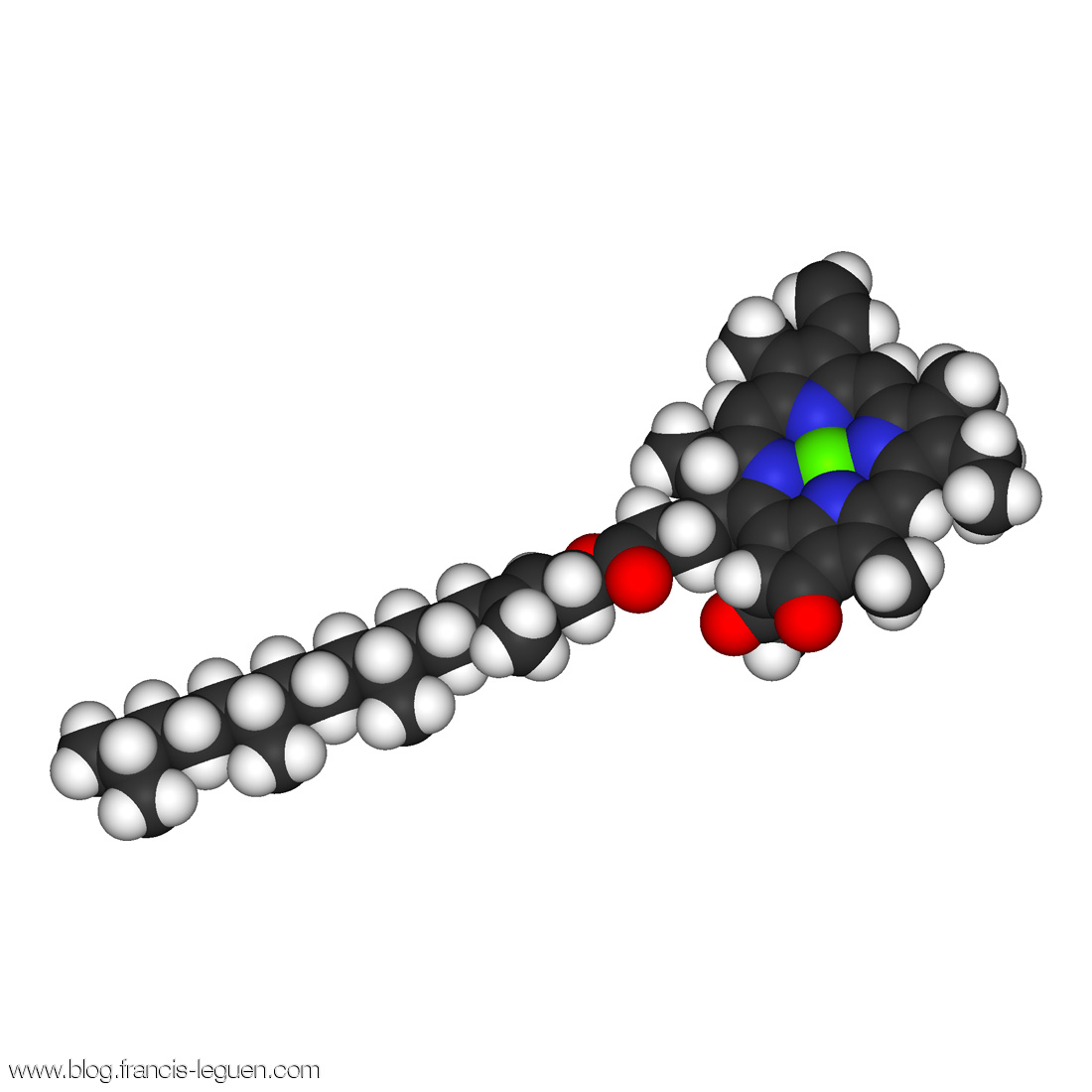 Alchimie du vivant Chlorophylle