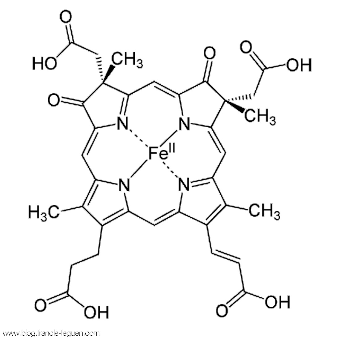 Alchimie du vivant hemoglobine